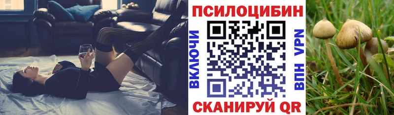 ОМГ ОМГ ТОР  наркотики  мориарти состав  Псилоцибиновые грибы Psilocybine cubensis  Каменногорск 